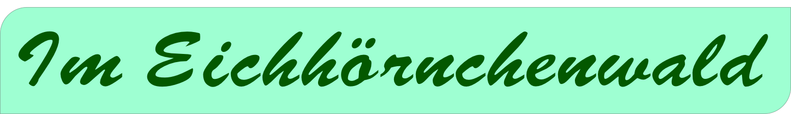 In unserem schönen Eichhörnchenwald!